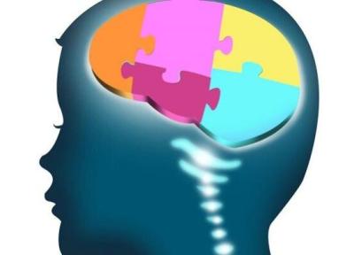 مسابقه تحلیل داده های تصویربرداری برای تشخیص اوتیسم برگزار می گردد